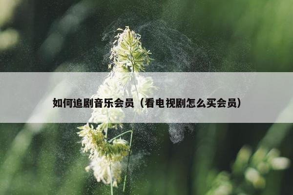 如何追剧音乐会员（看电视剧怎么买会员）