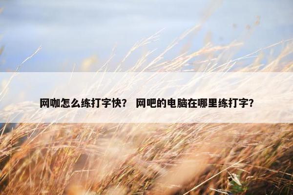 网咖怎么练打字快? 网吧的电脑在哪里练打字? 网咖怎么练打字快? 网吧的电脑在哪里练打字?