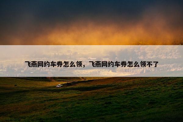 飞燕网约车券怎么领，飞燕网约车券怎么领不了