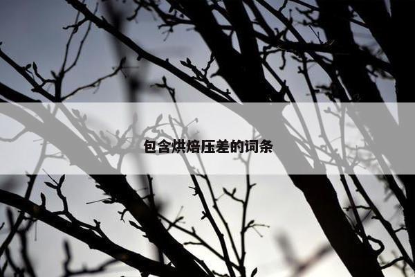 包含烘焙压差的词条