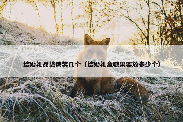 结婚礼品袋糖装几个（结婚礼盒糖果要放多少个）