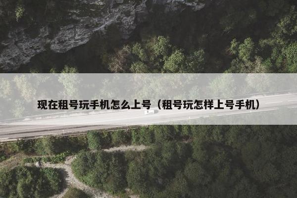 现在租号玩手机怎么上号（租号玩怎样上号手机）