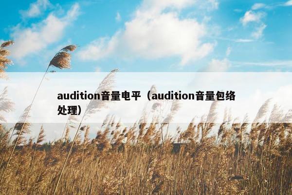 audition音量电平（audition音量包络处理）