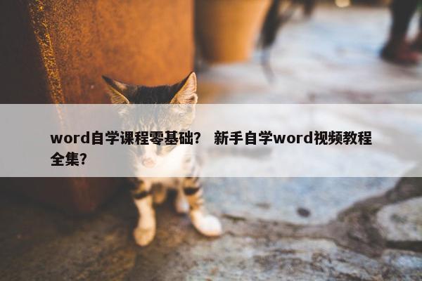 word自学课程零基础？ 新手自学word视频教程全集？