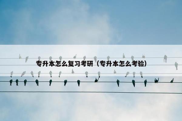 专升本怎么复习考研（专升本怎么考验）