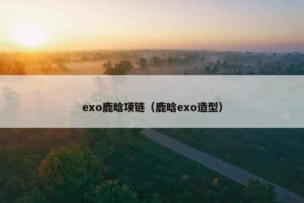 exo鹿晗项链(鹿晗exo造型) exo鹿晗项链(鹿晗exo造型)