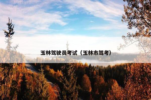 玉林驾驶员考试(玉林市驾考) 玉林驾驶员考试(玉林市驾考)