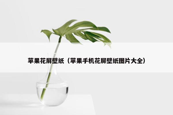 苹果花屏壁纸（苹果手机花屏壁纸图片大全）
