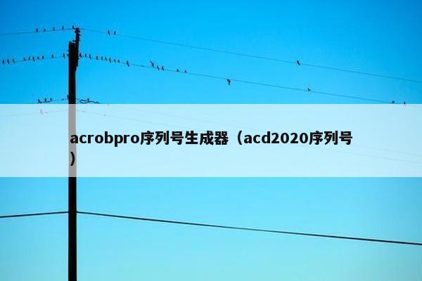 acrobpro序列号生成器（acd2020序列号）