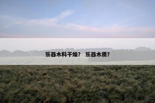 乐器木料干燥？ 乐器木质？
