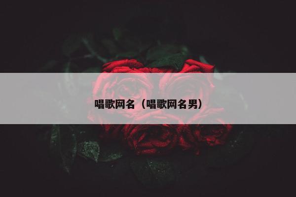 唱歌网名（唱歌网名男）