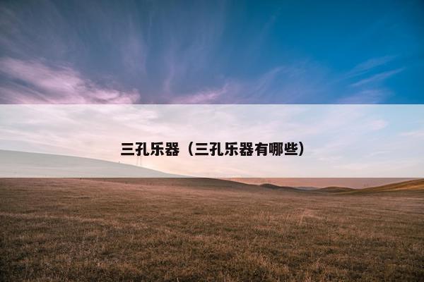 三孔乐器（三孔乐器有哪些）