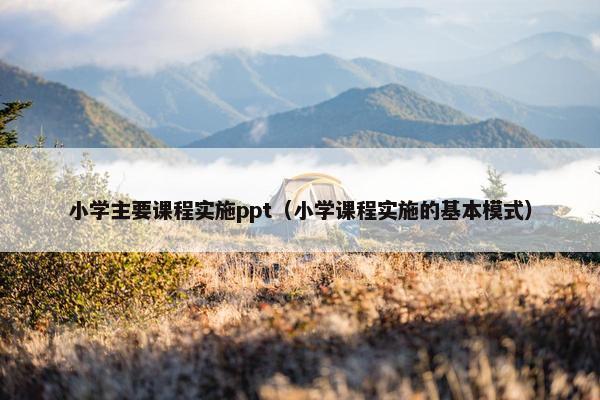 小学主要课程实施ppt（小学课程实施的基本模式）