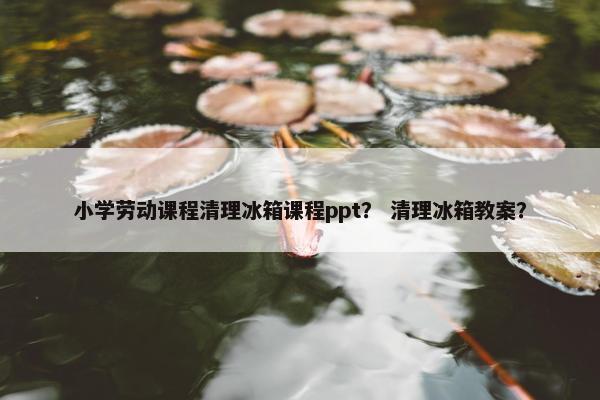 小学劳动课程清理冰箱课程ppt？ 清理冰箱教案？