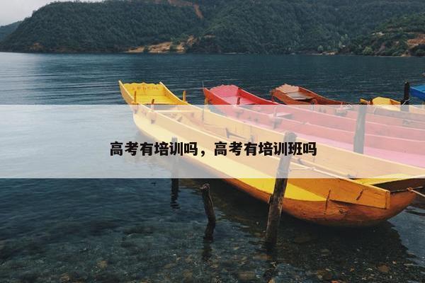 高考有培训吗，高考有培训班吗