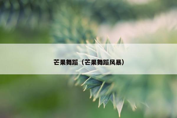 芒果舞蹈（芒果舞蹈风暴）