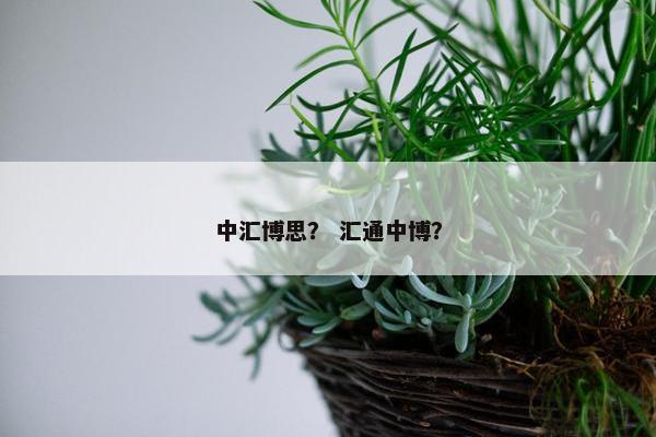 中汇博思？ 汇通中博？