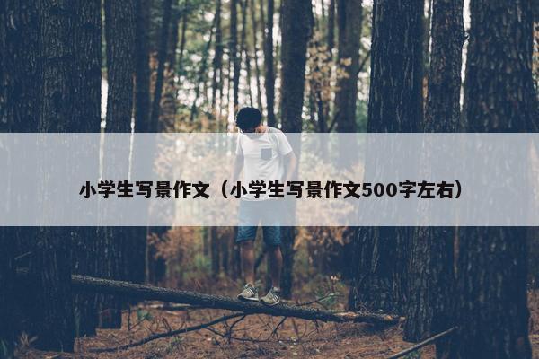 小学生写景作文（小学生写景作文500字左右）