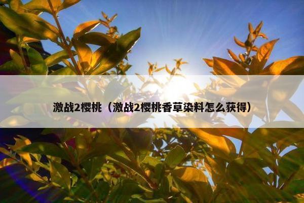 激战2樱桃（激战2樱桃香草染料怎么获得）