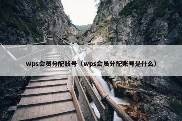 wps会员分配账号（wps会员分配账号是什么）