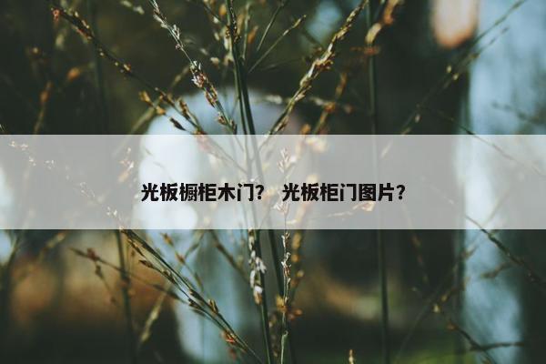 光板橱柜木门？ 光板柜门图片？