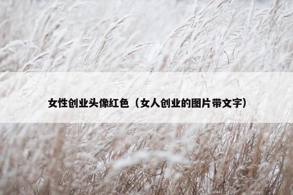 女性创业头像红色（女人创业的图片带文字）