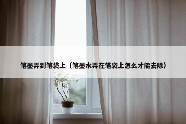 笔墨弄到笔袋上(笔墨水弄在笔袋上怎么才能去除) 笔墨弄到笔袋上(笔墨水弄在笔袋上怎么才能去除)