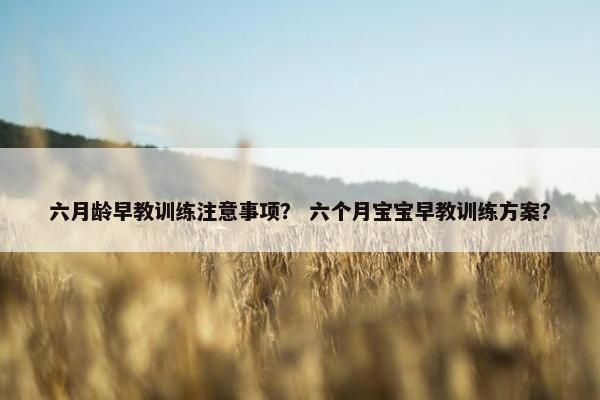 六月龄早教训练注意事项？ 六个月宝宝早教训练方案？