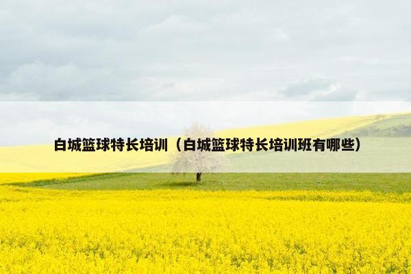 白城篮球特长培训（白城篮球特长培训班有哪些）