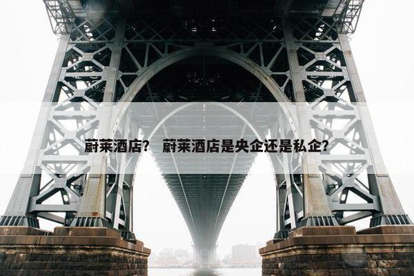 蔚莱酒店？ 蔚莱酒店是央企还是私企？