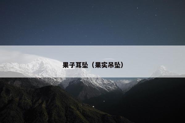 果子耳坠（果实吊坠）