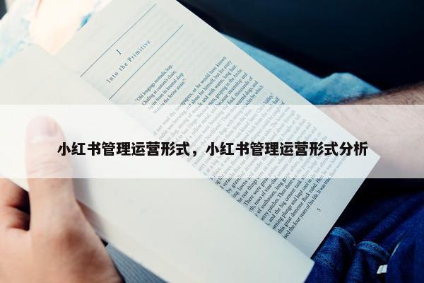 小红书管理运营形式，小红书管理运营形式分析
