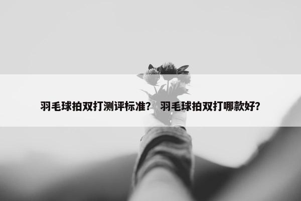 羽毛球拍双打测评标准？ 羽毛球拍双打哪款好？