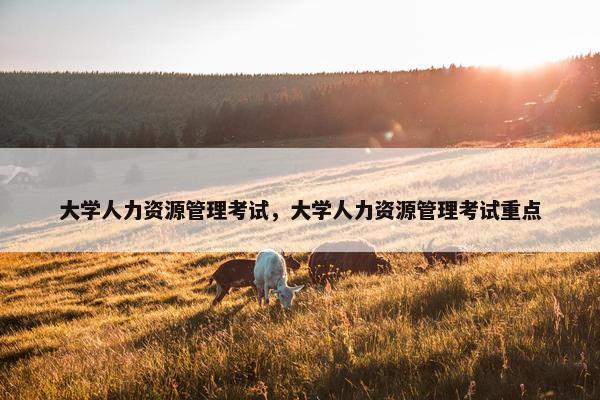 大学人力资源管理考试，大学人力资源管理考试重点