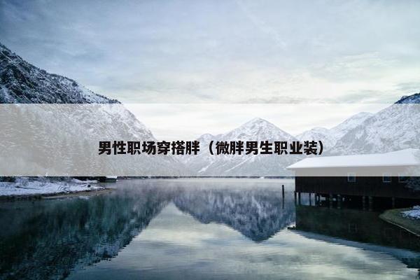 男性职场穿搭胖（微胖男生职业装）