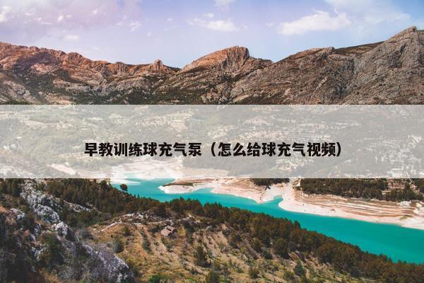 早教训练球充气泵（怎么给球充气视频）