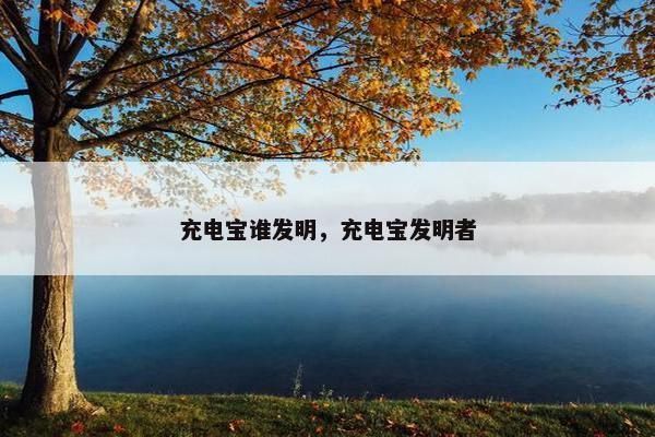充电宝谁发明，充电宝发明者