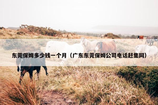 东莞保姆多少钱一个月(广东东莞保姆公司电话赶集网) 东莞保姆多少钱一个月(广东东莞保姆公司电话赶集网)