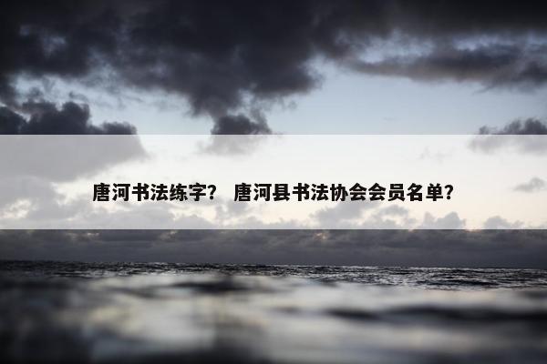 唐河书法练字？ 唐河县书法协会会员名单？
