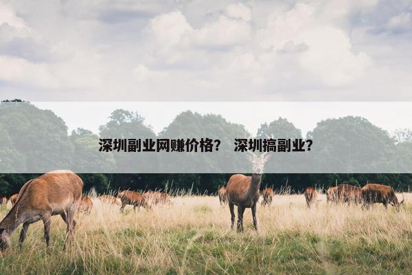 深圳副业网赚价格? 深圳搞副业? 深圳副业网赚价格? 深圳搞副业?