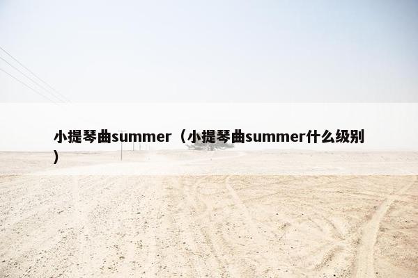 小提琴曲summer（小提琴曲summer什么级别）