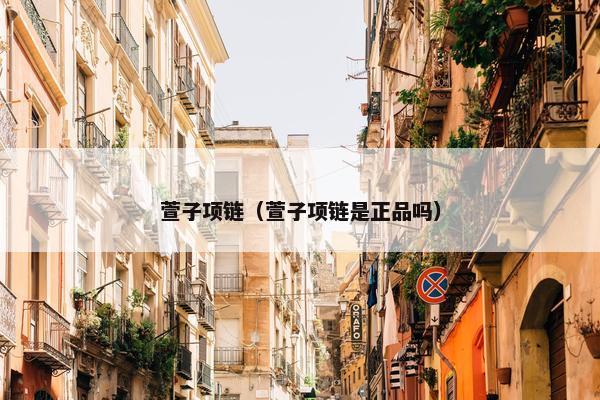 萱子项链（萱子项链是正品吗）