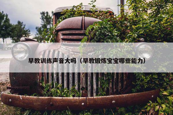 早教训练声音大吗（早教锻炼宝宝哪些能力）