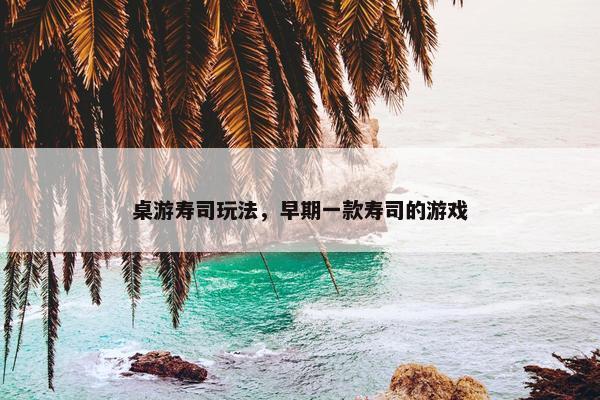 桌游寿司玩法，早期一款寿司的游戏