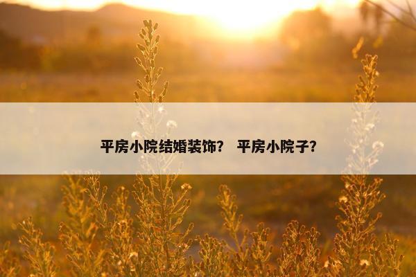 平房小院结婚装饰？ 平房小院子？