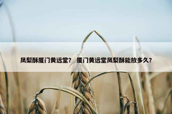 凤梨酥厦门黄远堂？ 厦门黄远堂凤梨酥能放多久？