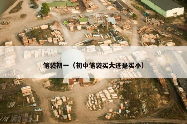 笔袋初一(初中笔袋买大还是买小) 笔袋初一(初中笔袋买大还是买小)