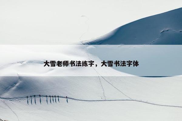 大雪老师书法练字，大雪书法字体