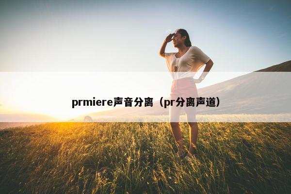 prmiere声音分离（pr分离声道）