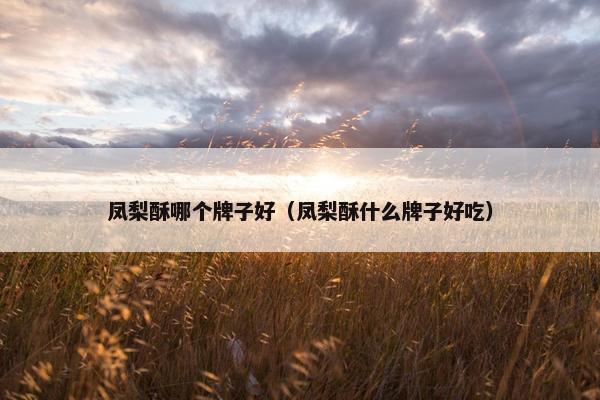 凤梨酥哪个牌子好（凤梨酥什么牌子好吃）
